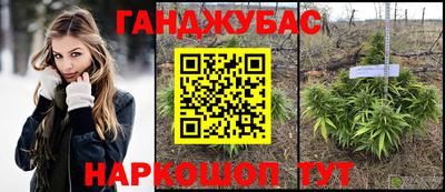 сатива Заволжье