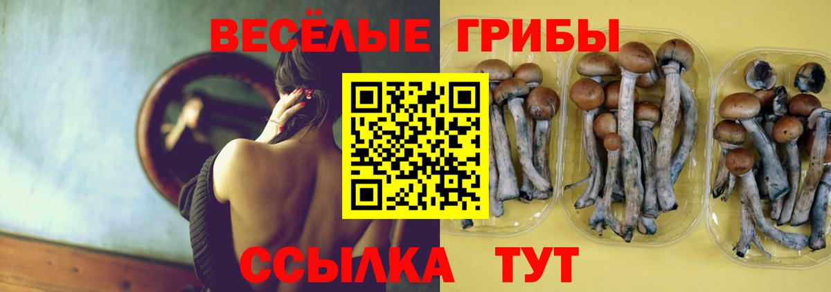 Псилоцибиновые грибы Cubensis  Вход с VPN  Лесной 